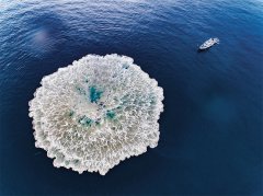 海风裹挟着硝烟味灌进胸