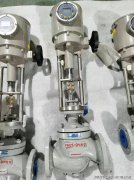 头部品牌的海外营收占比