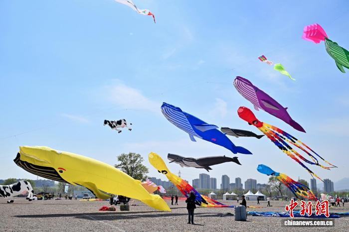 中外风筝高手齐聚北京园博园 科技与传统共绘春